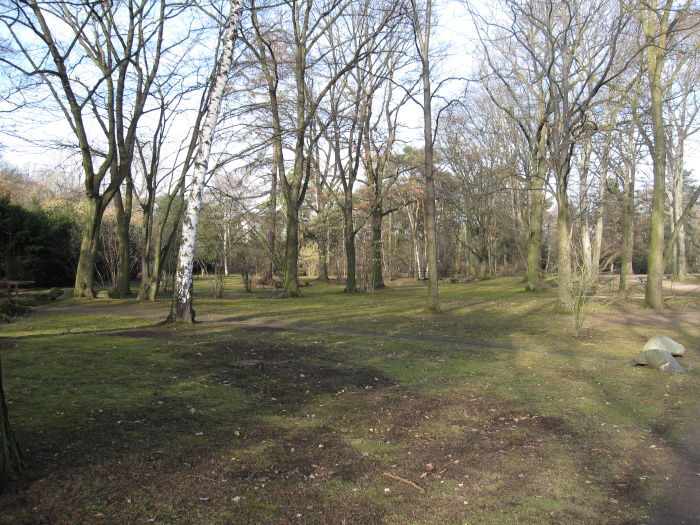 Auf dem Bild sieht man einen Weg und Bäume im Winter im Ostpark